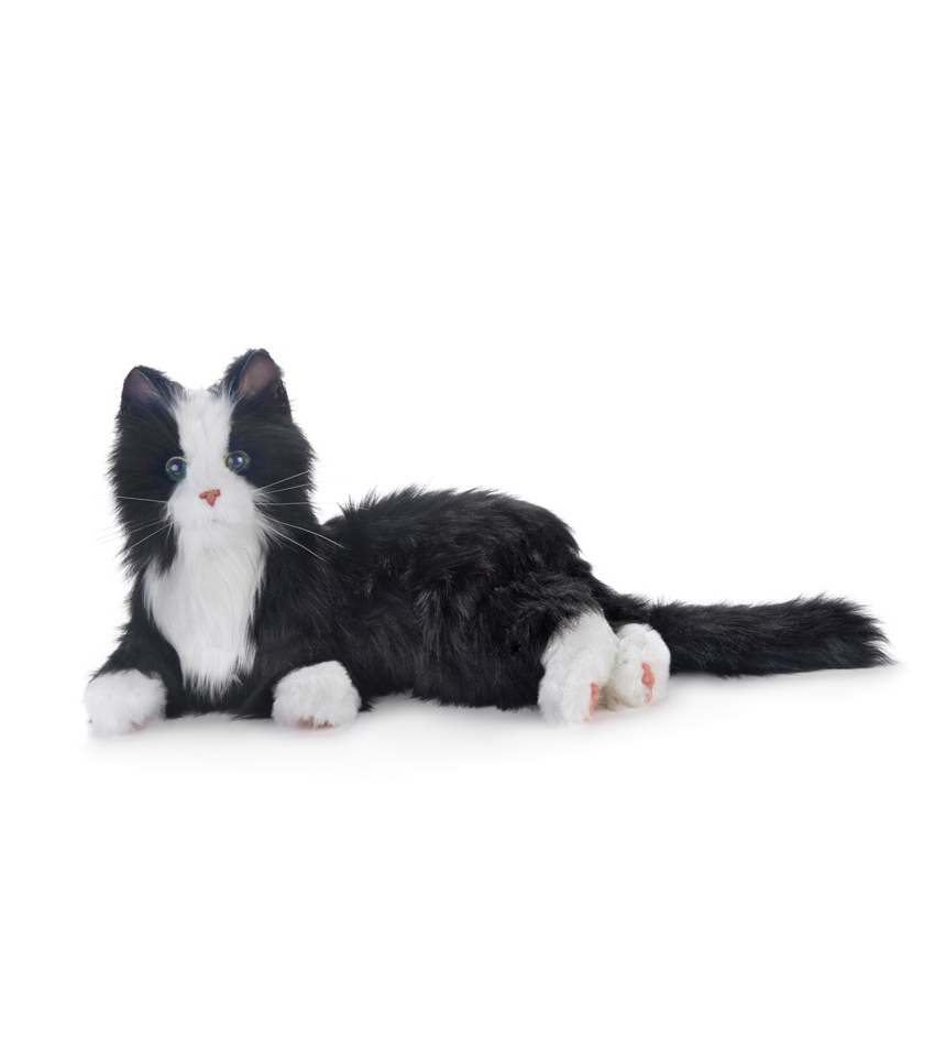 terapikatt svartvit robot katt Mentex