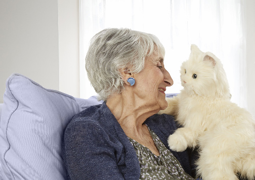 Terapikatt och terapihund
