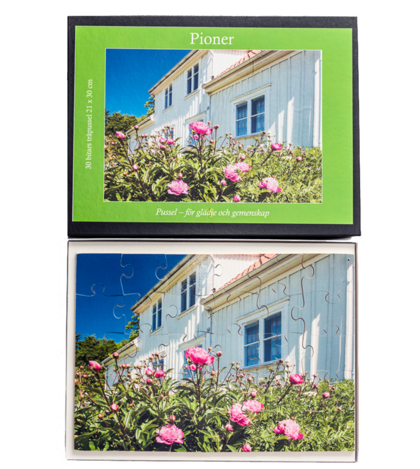 Pussel för vuxna och äldre 30 bitar Pioner