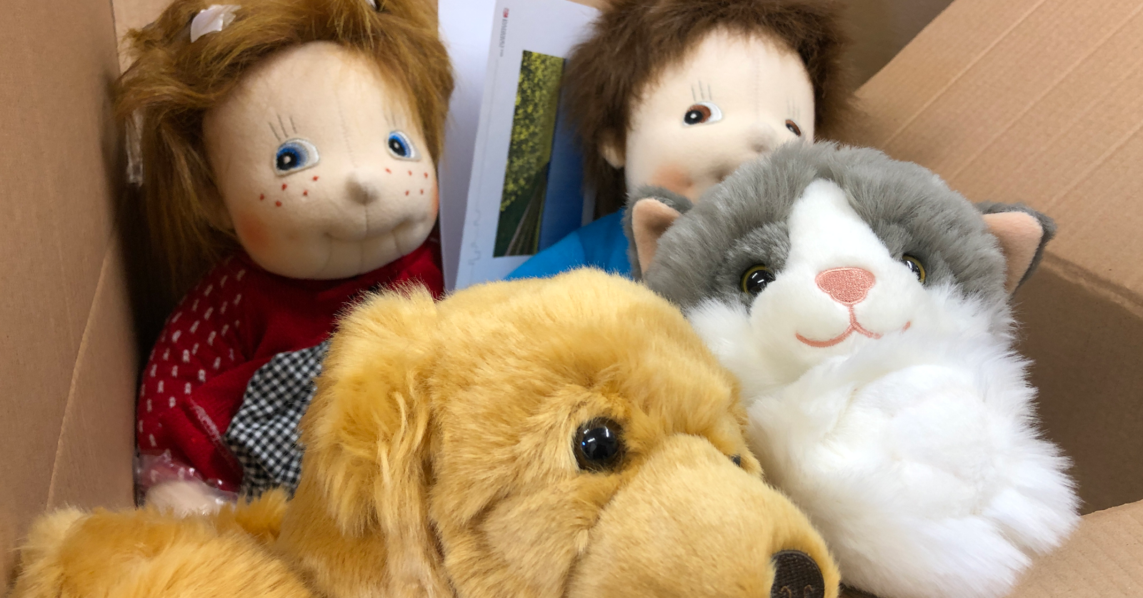 Statsbidrag  – motverka ensamhet bland äldre