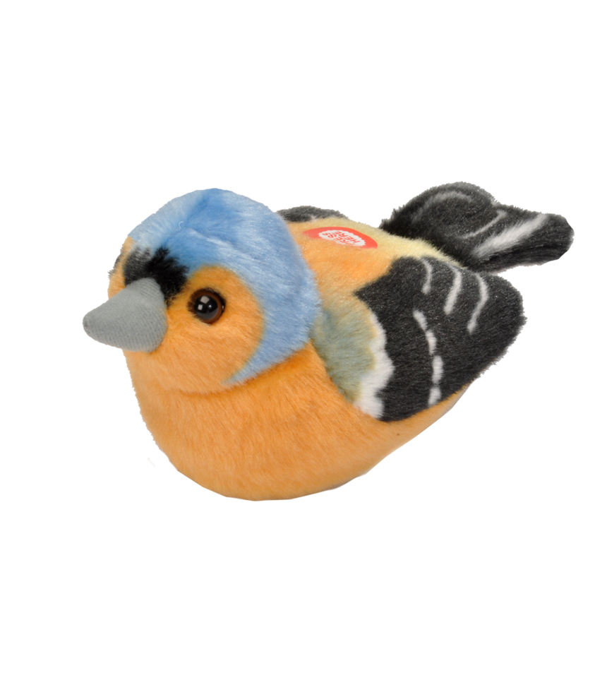 Bofink med läte fågel mjukdjur 6