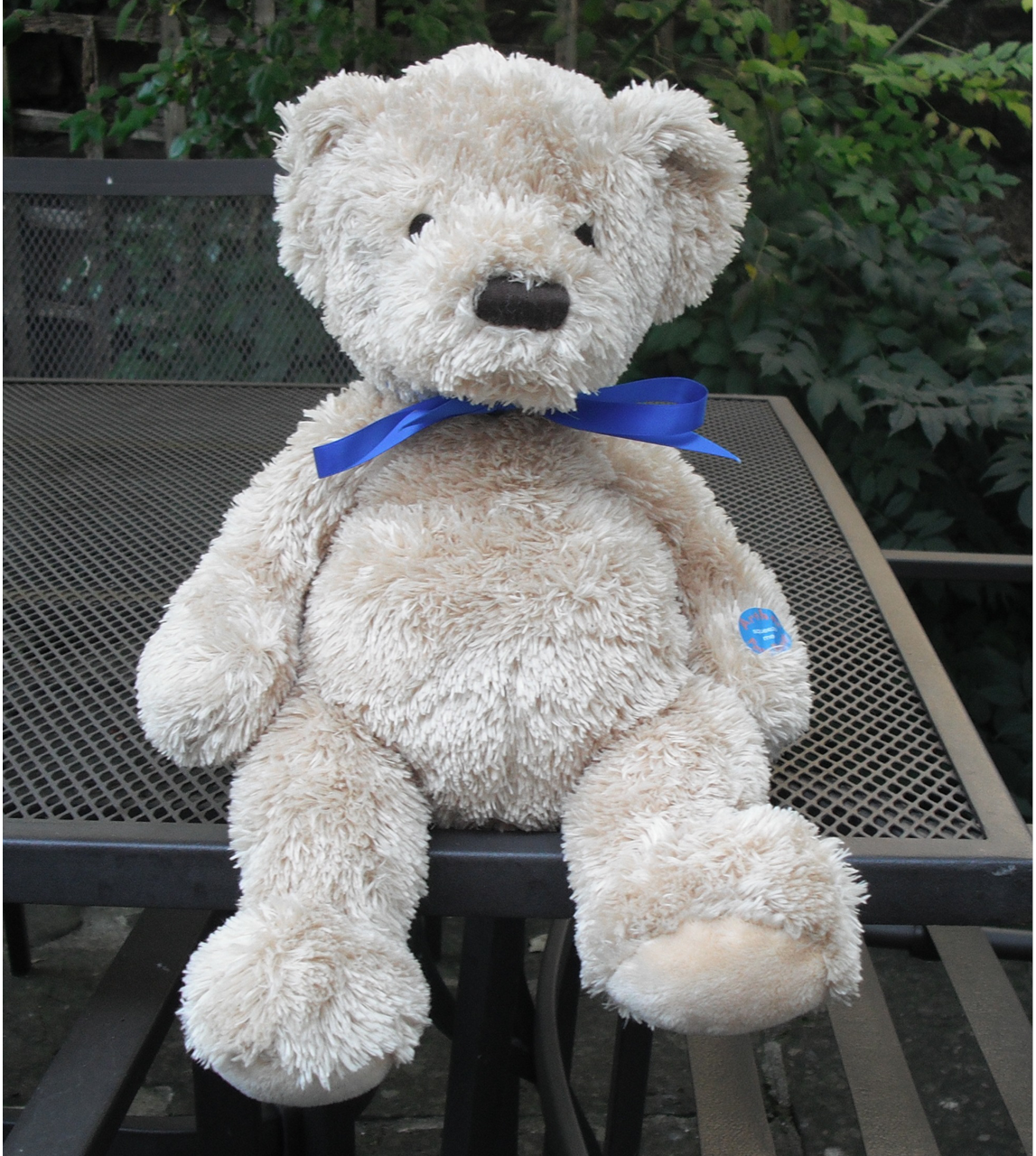 Musikbjörnen Arthur björn demens spelar musik 4