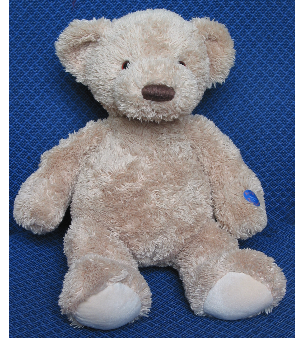 Musikbjörnen Arthur björn demens spelar musik