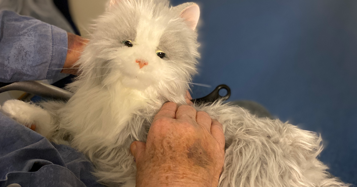 Terapikatt ger glädje under Covid