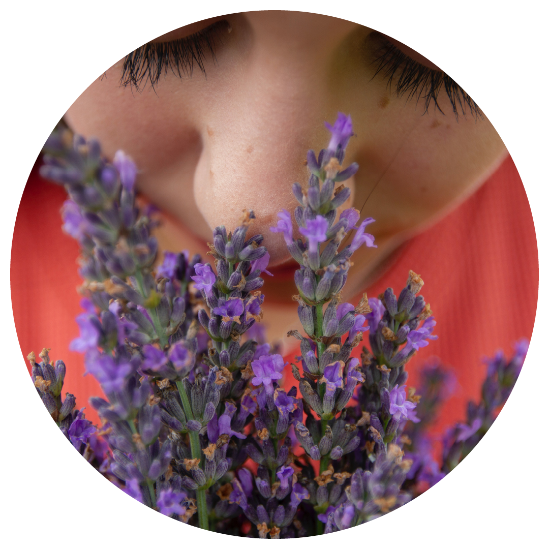 Doft & Lukt kalender NYHET 2022