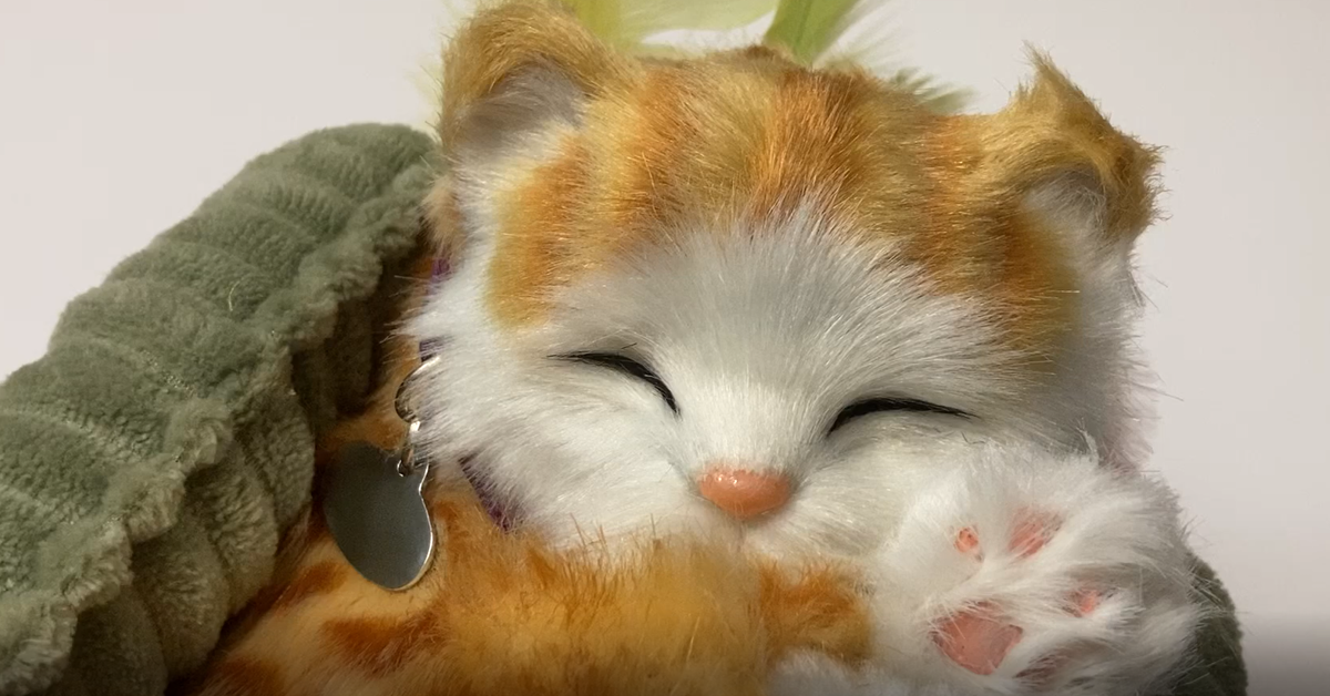 Tävla och vinn aktivitet till glädje i mars