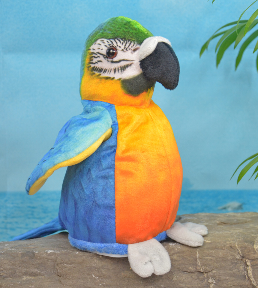 Papegoja härmande talande pratar blå ute