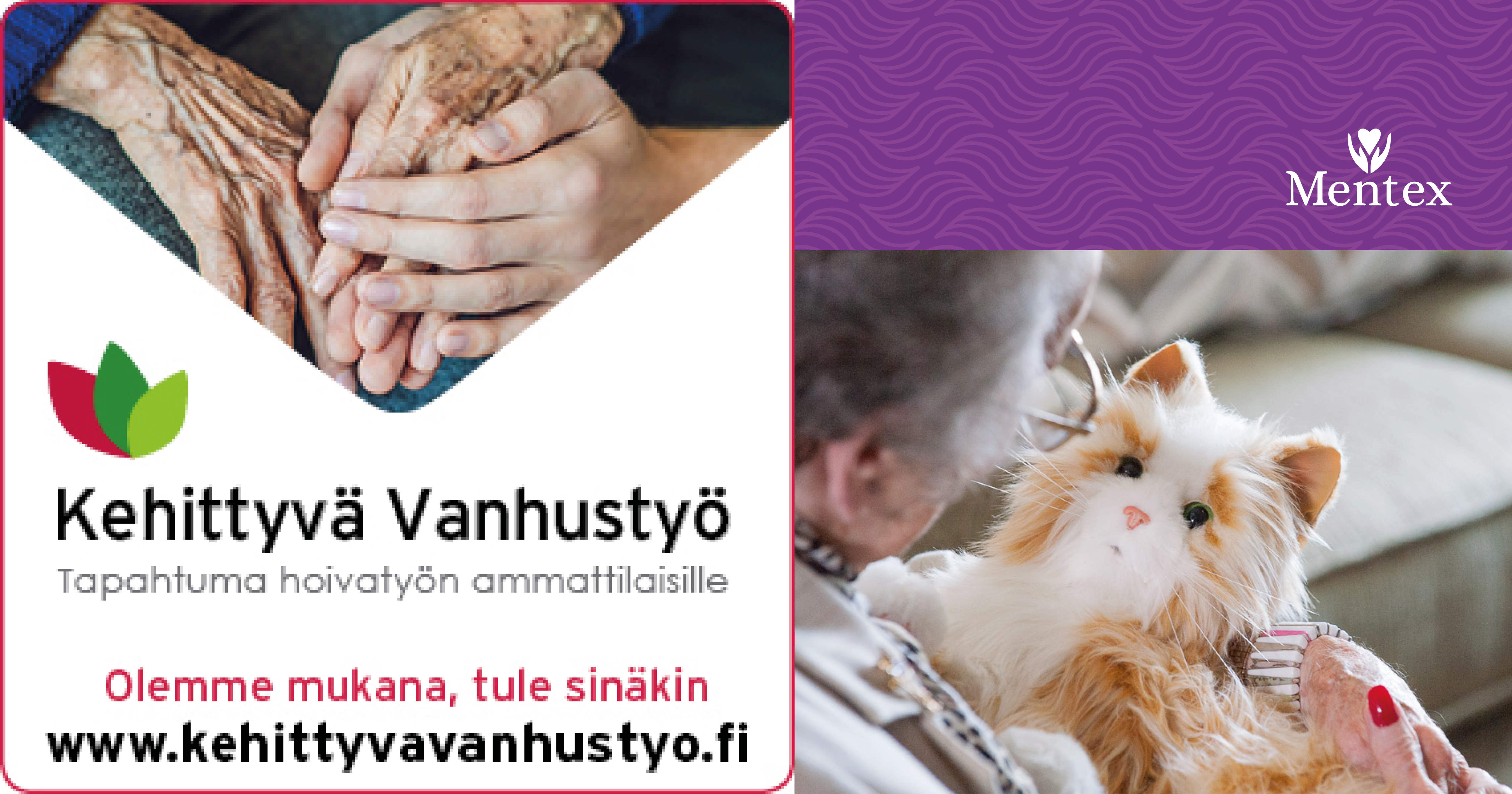 Utveckla äldreomsorgen – Kehittyvä Vanhustyö utbildning i Uleåborg