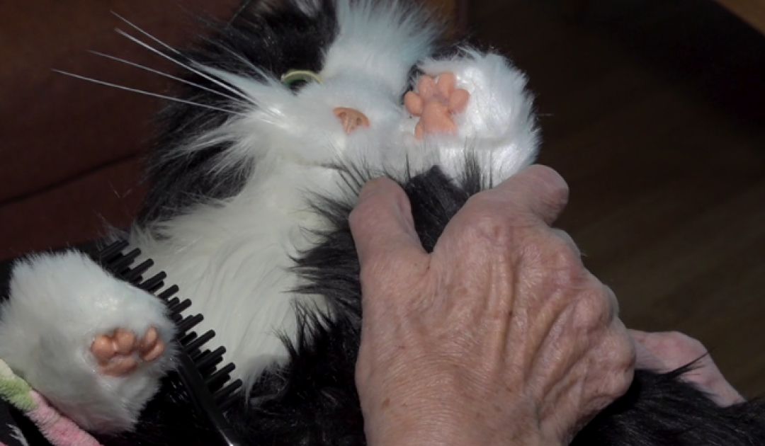 Här hjälper jamande robotkatter demenssjuka