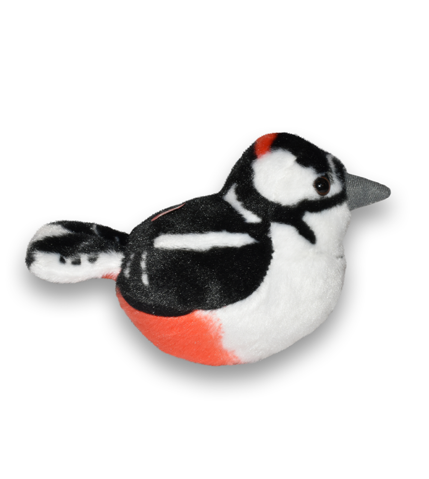 Hackspett sjungande fågel mjukdjur 3